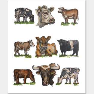 Cows Posters and Art