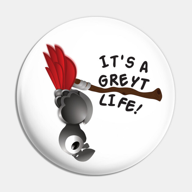It’s A Greyt Life! Pin by einsteinparrot