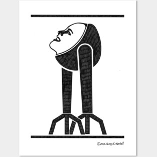 Reflections (Transparent Face) Posters and Art