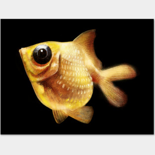 Goldfish Posters and Art