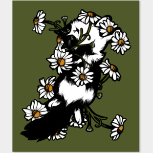 Daisy Tuxedo Cat Posters and Art