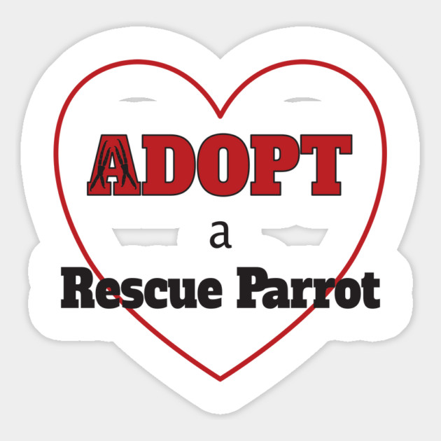 Adopt a Rescue Parrot Magnet by Einstein Parrot