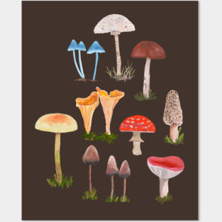Mushrooms Posters and Art