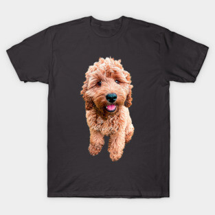 Cockapoo Cavapoo Labradoodle Goldendoodle Doodles T-Shirt