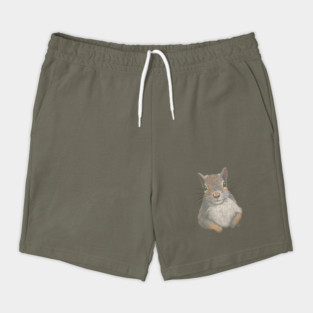 Gray Squirrel Shorts