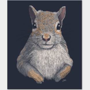 Gray Squirrel Posters and Art