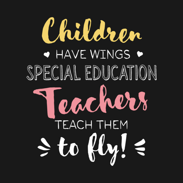 Sped Teacher Shirt, Special Education Teacher Shirt, Aba Shirt, Sped Para Educator Shirt, Sped Teacher Assistant Tee, Iep Team Shirt Aac Tee