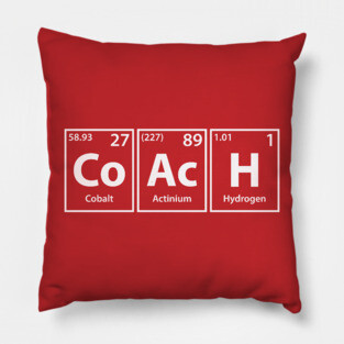 Coach Elements Spelling Pillow