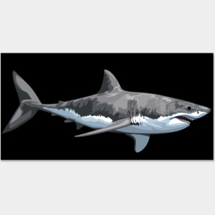 The Great White Shark Posters and Art