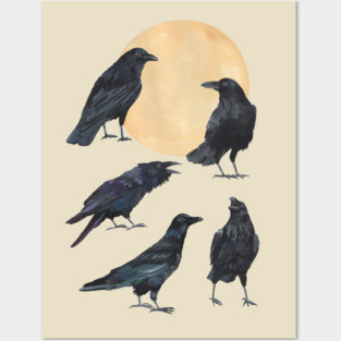 Ravens Posters and Art