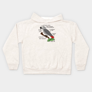 Anatomy of an African Grey Parrot Kids Hoodie