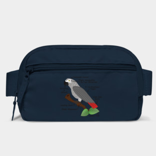 Anatomy of an African Grey Parrot Bag
