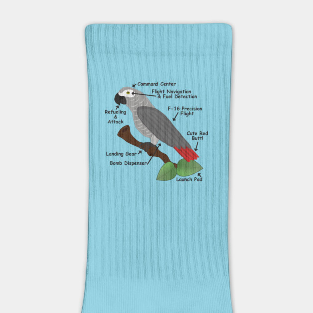 Anatomy of an African Grey Parrot by Einstein Parrot