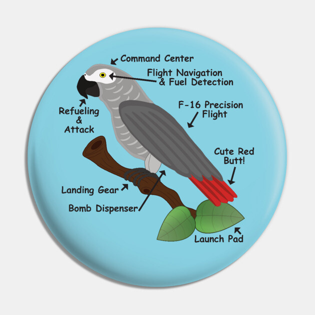 Anatomy of an African Grey Parrot Pin by Einstein Parrot