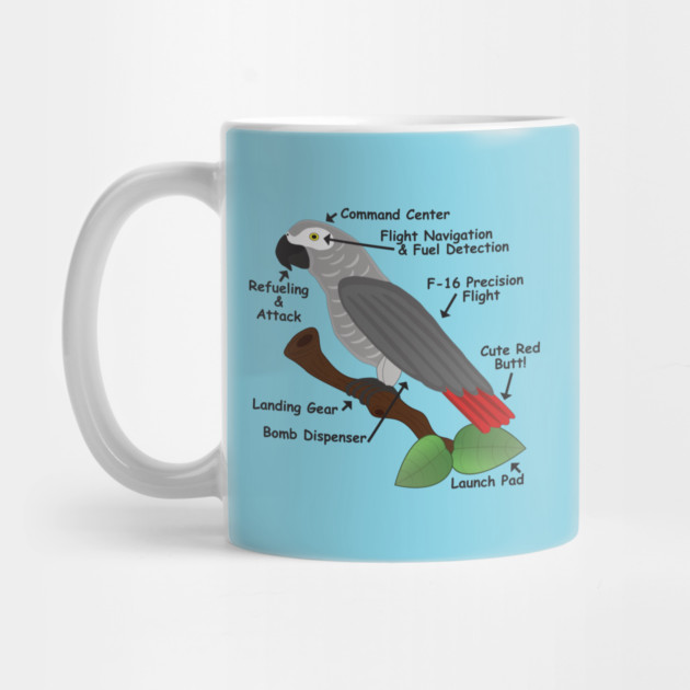 Anatomy of an African Grey Parrot by Einstein Parrot