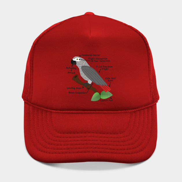 Anatomy of an African Grey Parrot by Einstein Parrot