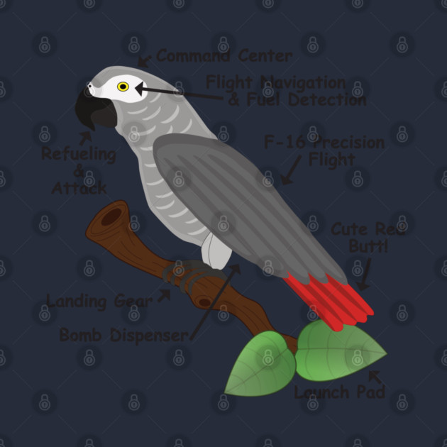 Anatomy of an African Grey Parrot by Einstein Parrot