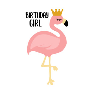 Flamingo, Birthday Girl Gift Princess T-Shirt