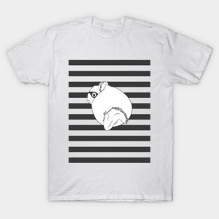 Prison Chinchilla Thief T-Shirt
