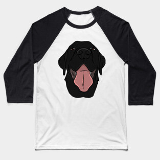 Happy Black Lab Baseball T-Shirt