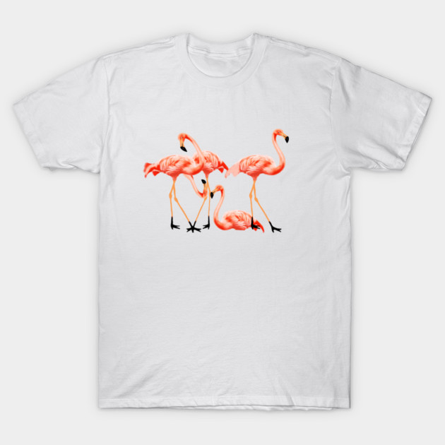 Flamingo Flock, Love Flamingos Tropical Birds T-Shirt by logiamerch