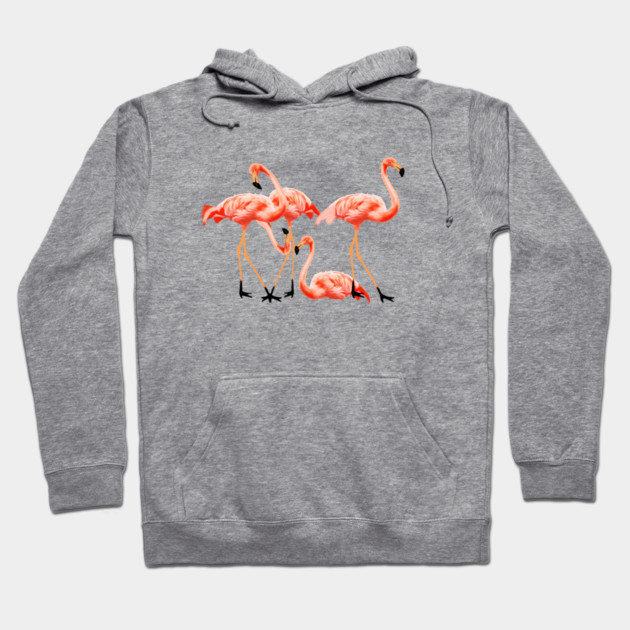 Flamingo Flock, Love Flamingos Tropical Birds Hoodie by logiamerch