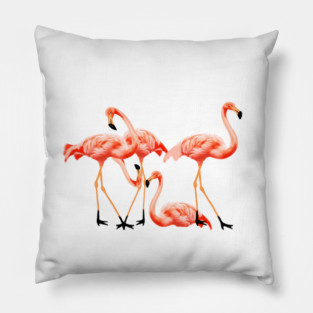 Flamingo Flock, Love Flamingos Tropical Birds Pillow