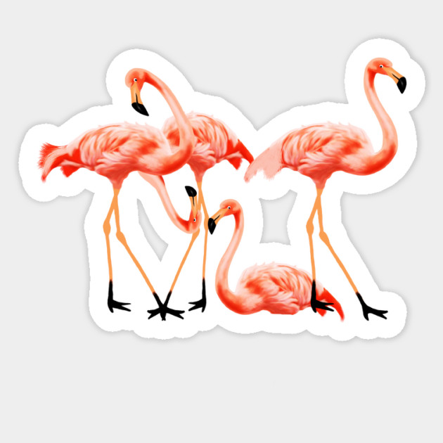 Flamingo Flock, Love Flamingos Tropical Birds Sticker by logiamerch