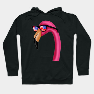 Flamingo USA America Miami, Love Flamingos Tropical Hoodie
