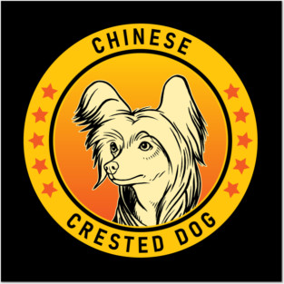 Chinese Crested Dog Portrait Posters and Art