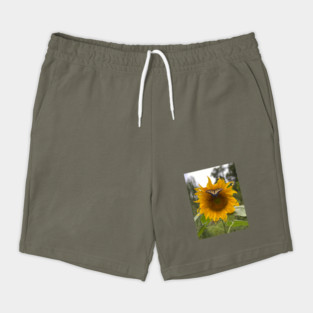 Sunflower with Butterfly Shorts