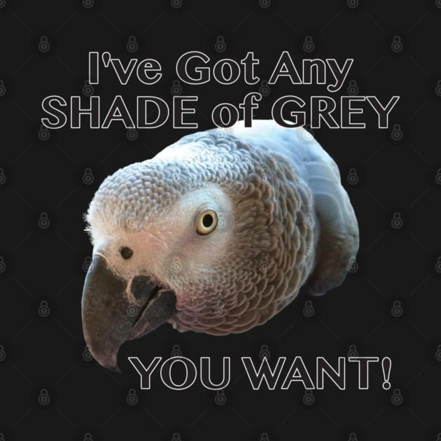 Any Shade of Grey - African Grey Parrot by Einstein Parrot
