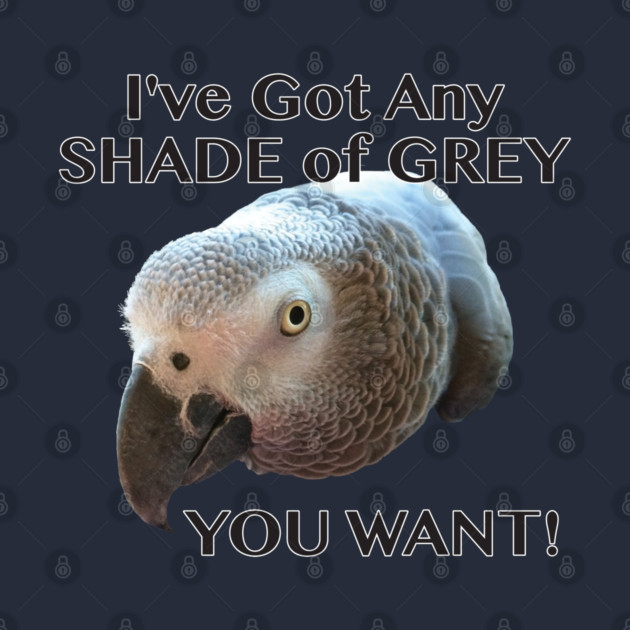 Any Shade of Grey - African Grey Parrot by Einstein Parrot