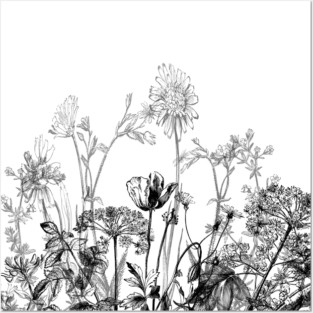 Black White Wild Flowers Botanical Pattern Illustration Vintage Posters and Art