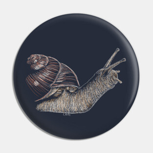 Snail Pin
