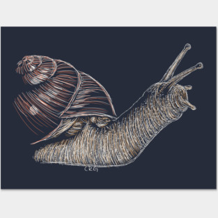 Snail Posters and Art