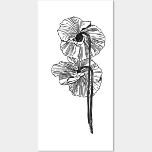 Hand Drawn Poppy Flower Posters and Art