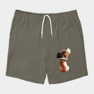 Sketchy Puppy Shorts