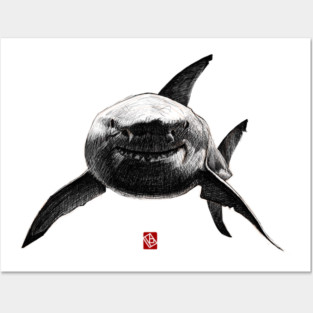 Sketchy Shark Posters and Art