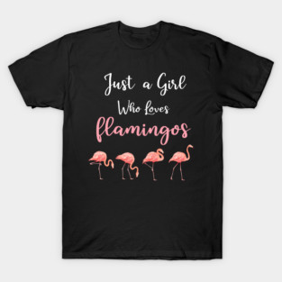 Just a Girl who loves Flamingos T-Shirt