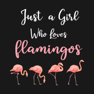 Just a Girl who loves Flamingos T-Shirt