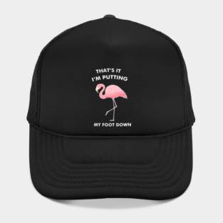 Flamingo, That's I'm Putting Foot Down Funny Hat