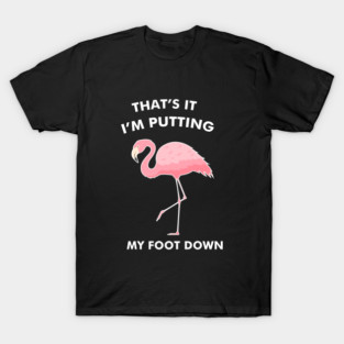 Flamingo, That's I'm Putting Foot Down Funny T-Shirt