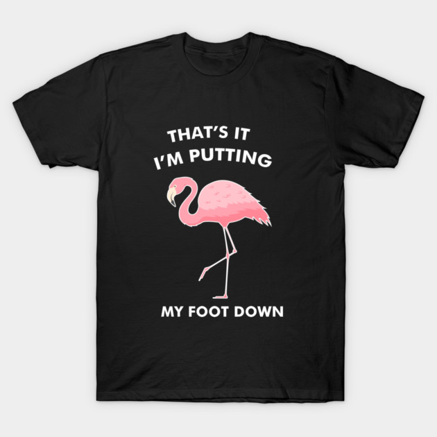 Flamingo, That's I'm Putting Foot Down Funny T-Shirt by logiamerch