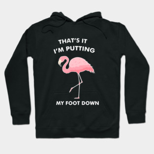 Flamingo, That's I'm Putting Foot Down Funny Hoodie