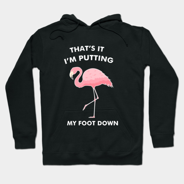 Flamingo, That's I'm Putting Foot Down Funny Hoodie by logiamerch