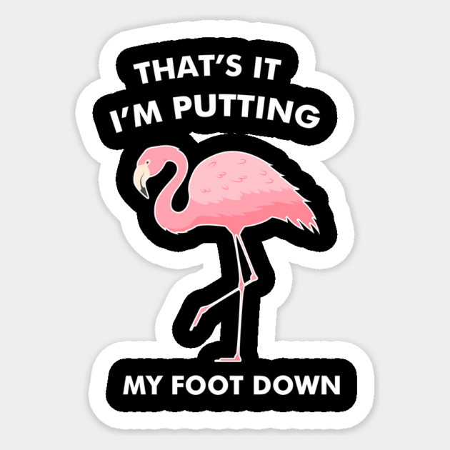 Flamingo, That's I'm Putting Foot Down Funny Sticker by logiamerch