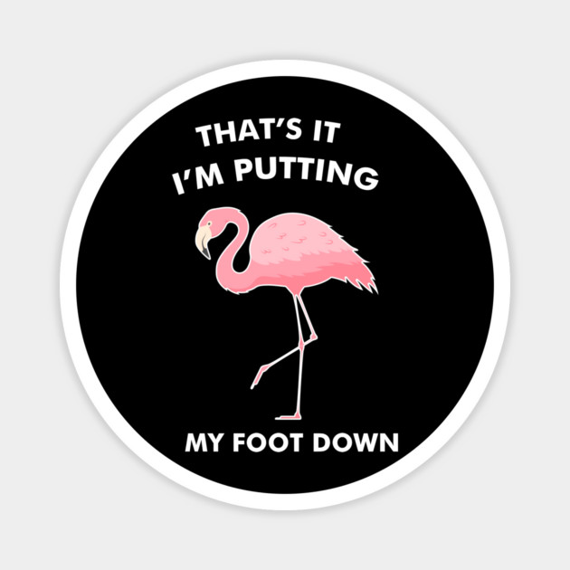 Flamingo, That's I'm Putting Foot Down Funny Magnet by logiamerch