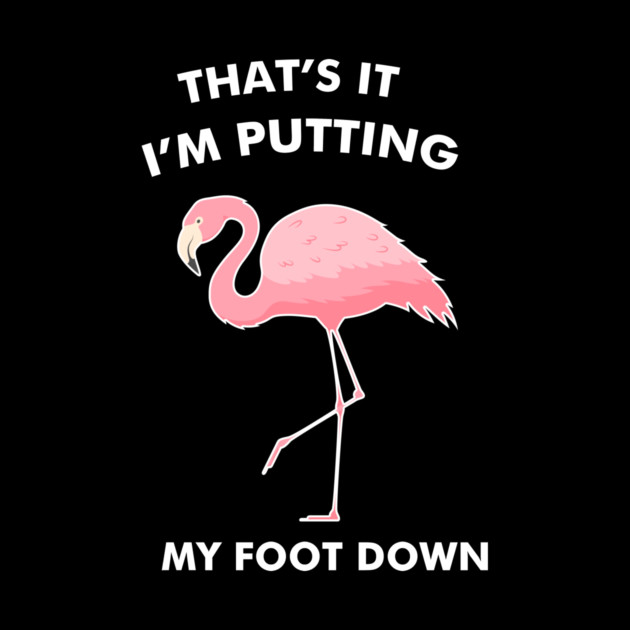 Flamingo, That's I'm Putting Foot Down Funny by logiamerch