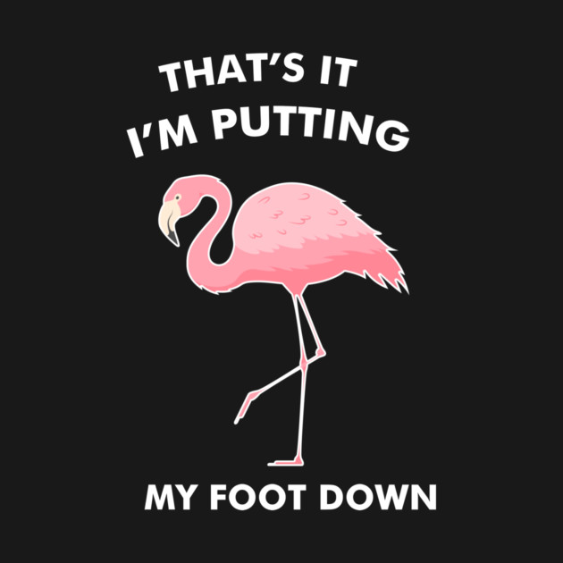 Flamingo, That's I'm Putting Foot Down Funny by logiamerch